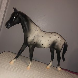 Classic Black Appaloosa